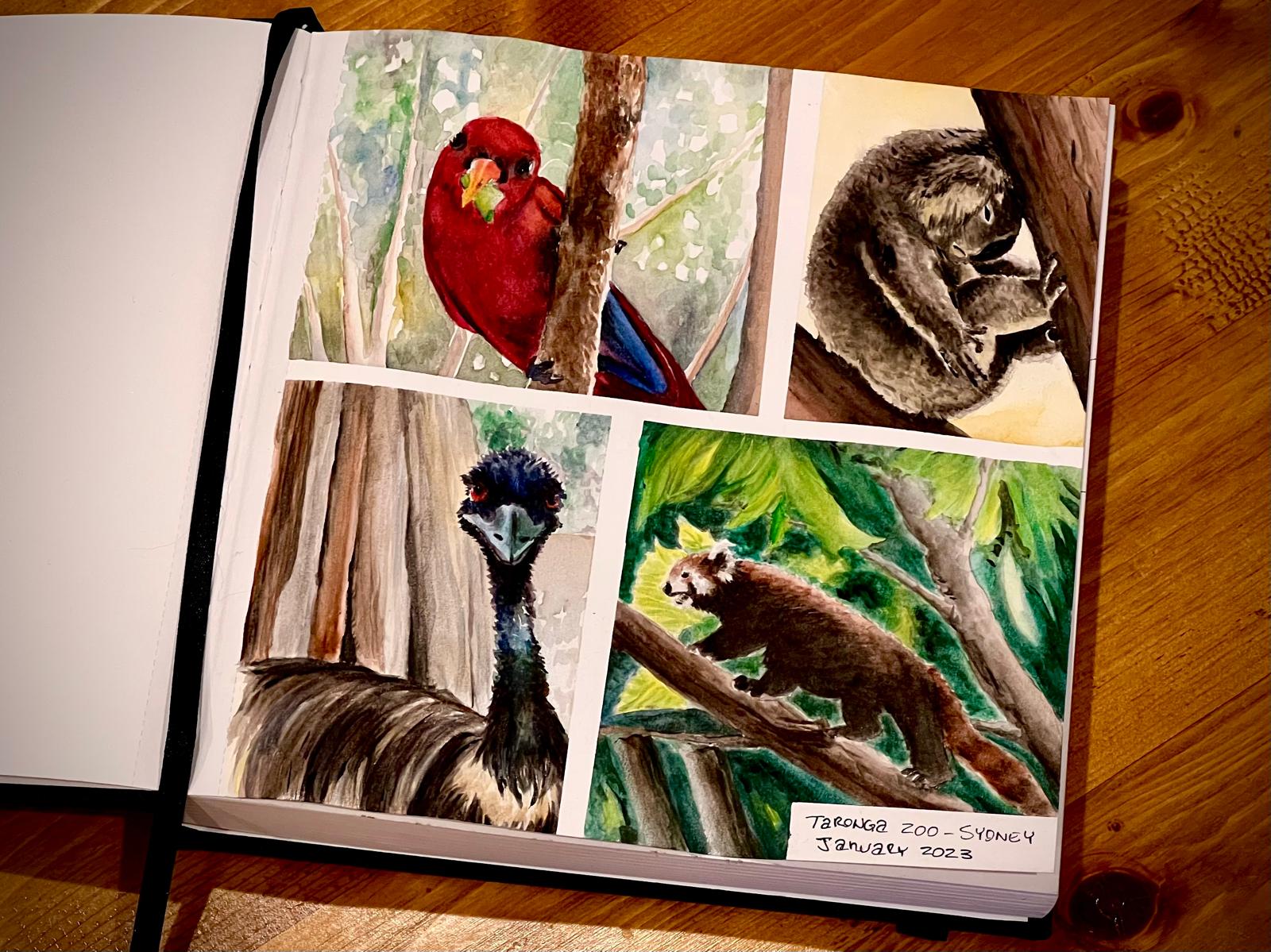 Traditional Artwork - Toronga Zoo